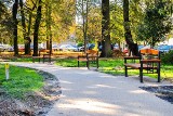 Trwa remont parku przy ul. Rycerskiej w Rzeszowie [FOTO]