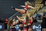 Kibice i piękne cheerleaderki na meczu Enea Abramczyk Astoria Bydgoszcz - Asseco Arka Gdynia [dużo zdjęć]