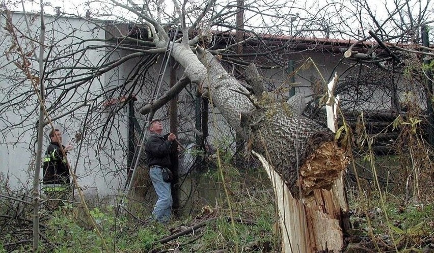 Porywisty wiatr na Śląsku, Zagłębiu i Beskidach