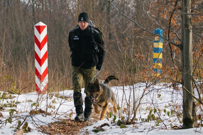 Dzisiaj Międzynarodowy Dzień Psa. Jakie zadania ma 56 psów pracujących w Bieszczadzkim Oddziale Straży Granicznej [ZDJĘCIA]