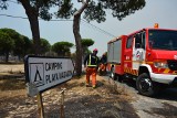 Pożary w Hiszpanii: Ewakuowano ponad 1500 osób, wśród nich są polscy turyści z La Peñuela [ZDJĘCIA]