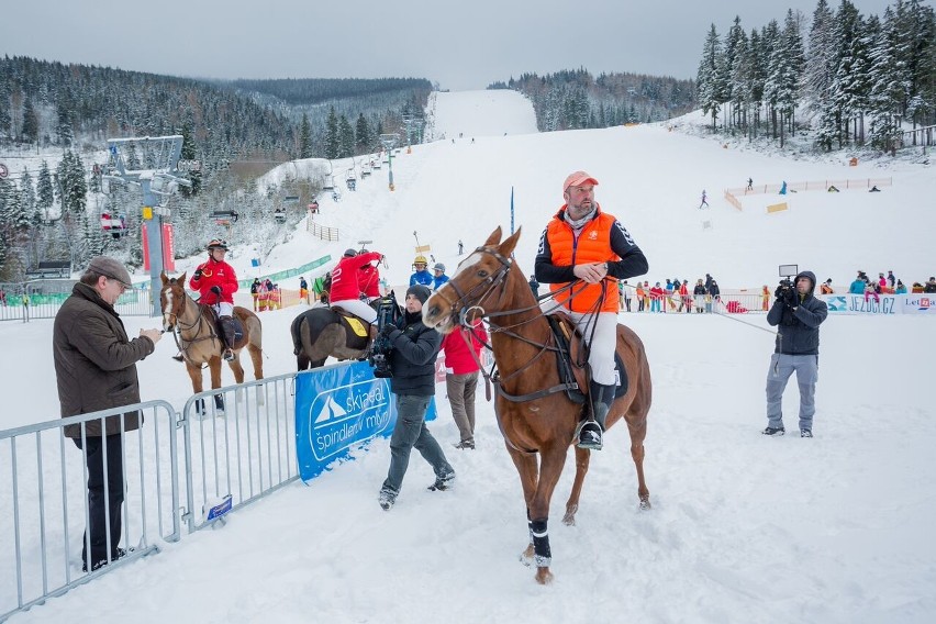 Czechy: śnieżne polo w Szpindlerowym Młynie [ZDJĘCIA]