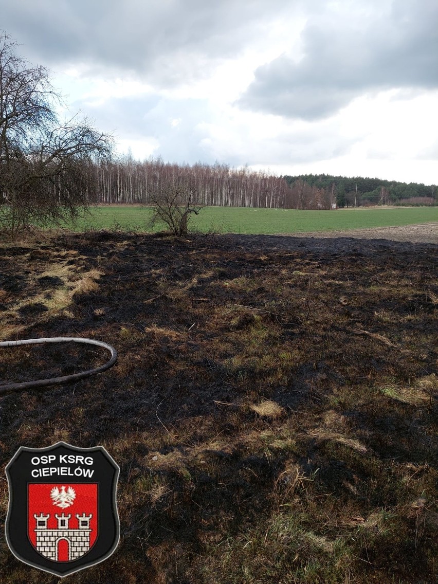 Pożar nieużytków na terenie gminy Ciepielów, strażacy z Lipska i Ciepielowa ugasili pożar