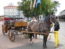 Na przejażdżkę bryczką można wybrać jedną z czterech tras po mieście lub uzgodnić z dorożkarzem Hieronimem Pielą trasę według własnego pomysłu, tel. 693 566 504.