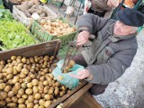 Na targu w Koszalinie furorę robi vineta 