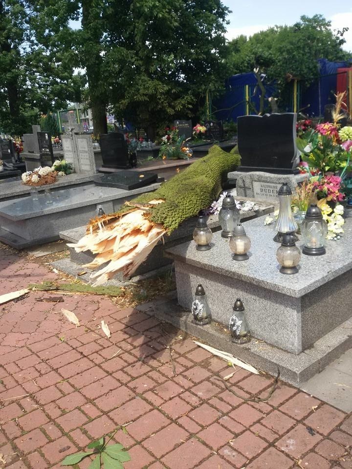 Cmentarz przy ulicy Warszawskiej w Radomiu.
