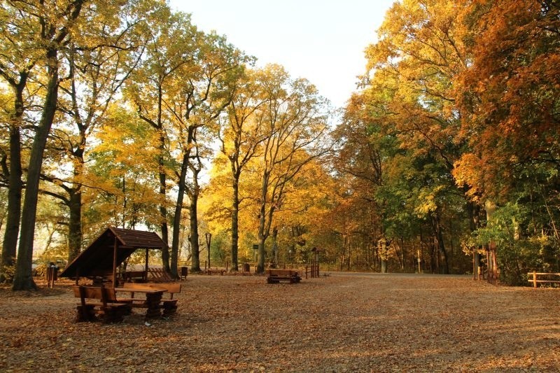 Z myślą o mieszkańcach pobliskich miejscowości  Nadleśnictwo...