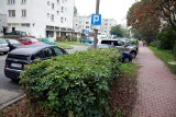 LSM chce budować nowe parkingi 