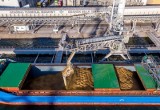 Trwa walka o szybkie wyeksportowanie polskiego zboża. Port Gdańsk przygotowuje się na wzmożony ruch samochodów ciężarowych z ziarnem