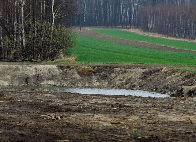 W tej sadzawce przy ulicy Urzędniczej znaleziono ciało 33&#8211;latka.