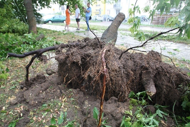 Zniszczenia po nawałnicy w Kielcach