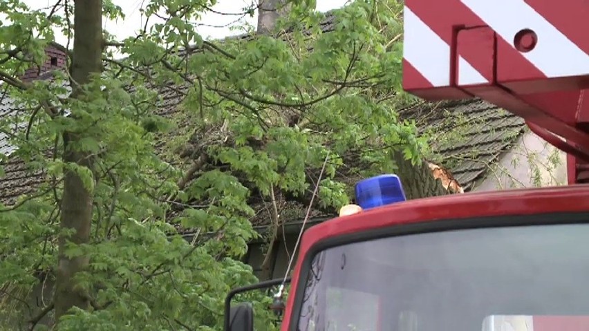 Wiatr zwalił drzewo na dach domu (WIDEO, ZDJĘCIA)...