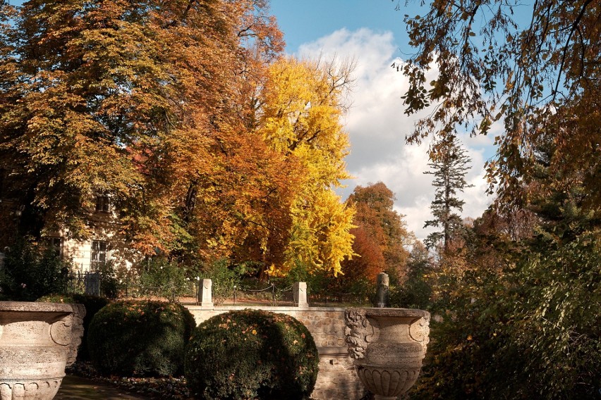 Muzeum - Zamek w Łańcucie zaprasza na spacer po jesiennym parku [ZDJĘCIA]