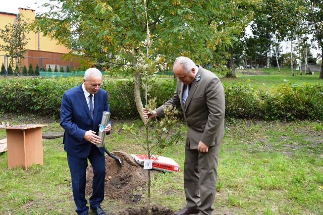 Posadzili drzewo na 100. rocznicę Niepodległości. Akcja "100 dębów na 100. rocznicę Niepodległości".