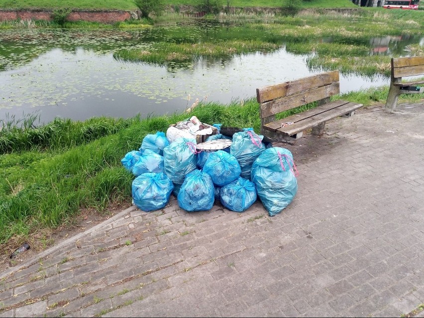 Sprzątanie brzegów rzek w Gdańsku