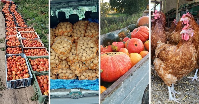 Produkty prosto od rolników w Szczecinie i regionie. Jakie warzywa i owoce są teraz najlepsze i za ile można je kupić bezpośrednio od gospodarzy?Sprawdź w galerii. Niektóre mogą dowieźć pod same drzwi ->>>