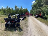 Delastowice. Duży pożar lasu koło Szczucina. W akcji liczne siły strażaków z Powiśla i Tarnowa 