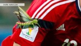 Gigantyczny owad na ramieniu Rodrigueza w trakcie meczu z Brazylią (ZDJĘCIA)