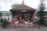 Na Wildzie w Poznaniu kolejny raz stanęła bożonarodzeniowa szopka. Zobacz zdjęcia z Topolowego Fyrtla 