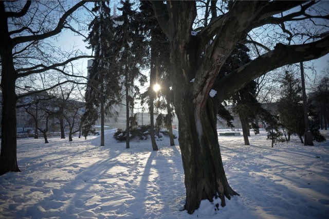 W regionie będzie śnieżnie i słonecznie.