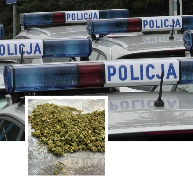 Policjanci zabezpieczyli prawie 430 gramów marihuany u 22-latka