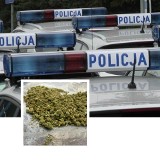 Niespełna pół kilograma narkotyków znaleźli policjanci u 22-latka z Grudziądza