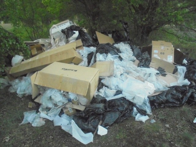 Śmieci w lesie przy Józefowskiej w Radomiu.
