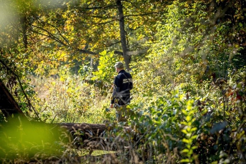 SG: 91 cudzoziemców forsowało granicę. Kolejnych sześciu kurierów zatrzymanych