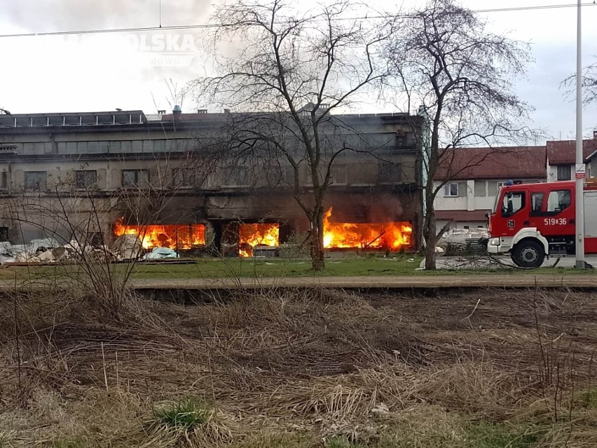 Płoną papierowe bele w Kętach - Podlesiu w powiecie...