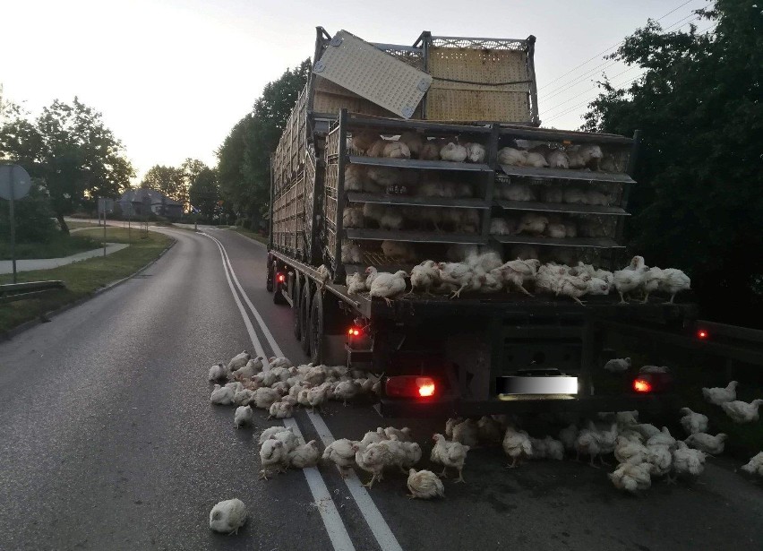 Do wypadku doszło w czwartek. Około godz. 04.00 oleccy...