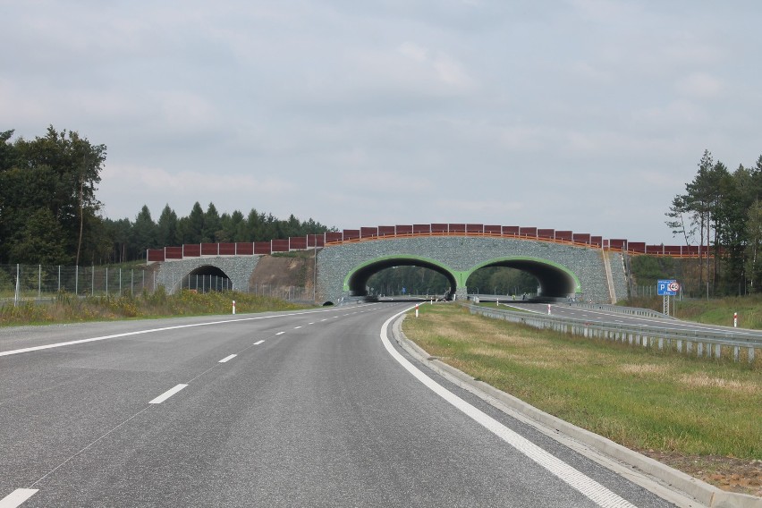 Pierwszy odcinek drogi S5 Wrocław-Poznań otwarty!