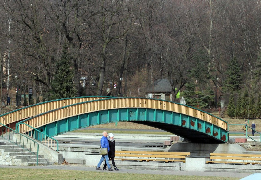 Pierwsze oznaki wiosny już w Parku Śląskim. Zakwitły...