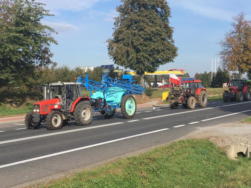 Protest rolników koło Opatowa. Traktory na trasie [ZDJĘCIA]