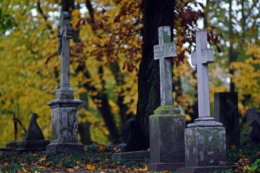 Wiele z nagrobków na cmentarzu stanowi zabytki.