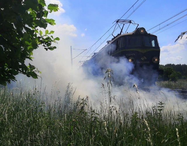 Strażacy z Kostrzyna nad Odrą zostali zaalarmowani o pożarze, do którego doszło w rejonie ul. Cmentarnej. Ze zgłoszenia wynikało, że paliła się trawa i zarośla po obu stronach trasy kolejowej w stronę Szczecina.Sytuacja miała miejsce we wtorek, 8 czerwca. Zgłoszenie, które odebrali strażacy, pochodziło od funkcjonariuszy straży ochrony kolei. Do akcji wysłano dwa zastępy strażaków. Po dojeździe na we wskazane miejsce okazało się, że palą się zarośla i krzaki przy popularnej "nadodrzance". Ogień i dym sięgały 10 metrów wysokości. Strażakom udało się ugasić i opanować pożar, który zagrażał ruchowi kolejowemu na tej popularnej i często uczęszczanej trasie. Wideo: Strażacy z Kostrzyna jadą do pożaru pustostanu na osiedlu Drzewice