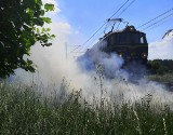 Groźny pożar w Kostrzynie. Paliła się trawa i zarośla po obu stronach trasy kolejowej do Szczecina, popularnej "nadodrzanki"