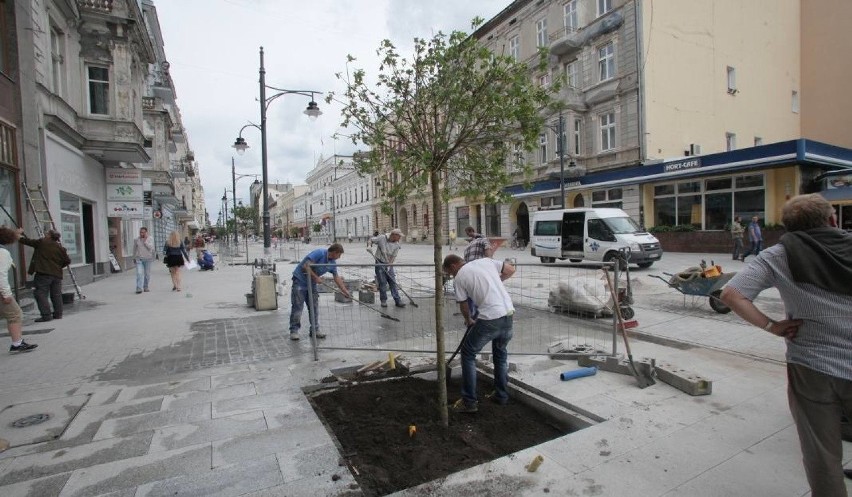 Łódź zdobyła 66 punktów, zaliczyła spadek o 2 punkty.