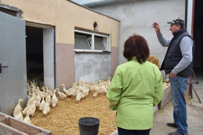 Rolnik Roku 2019. W gospodarstwie Marzeny i Mariusza Górskich w Sośnie [zdjęcia]