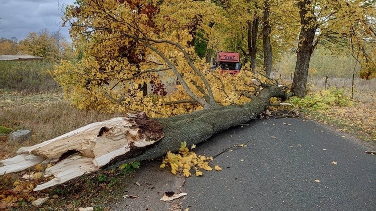 Strażacy w regionie wyjeżdżają przede wszystkim do...