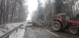 Pogodowy armagedon w gminie Jastrzębia. Pozrywane linie energetyczne, powalone drzewa. Pracują strażacy i pracownicy gminy (ZDJĘCIA)