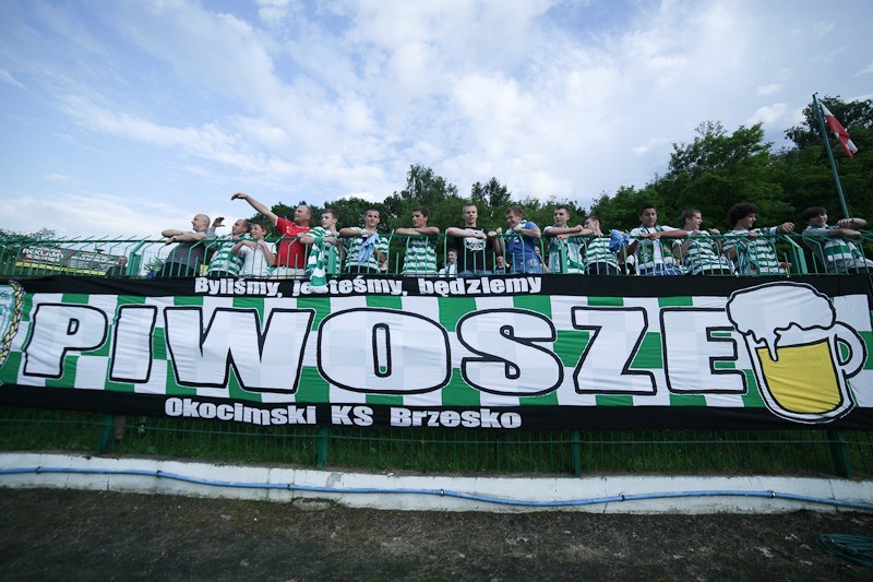 Okocimski KS Brzesko - Warta Poznań 2:0