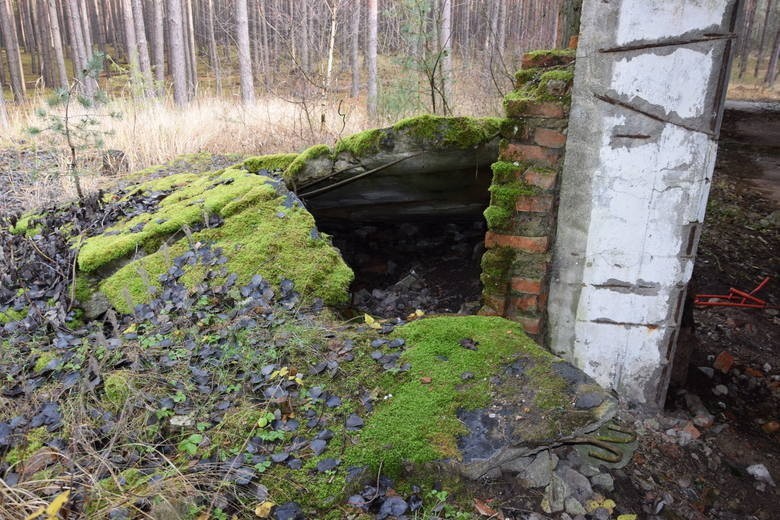 Wjazd do bunkra MRU w Wysokiej ukryty jest wśród lasów, a...