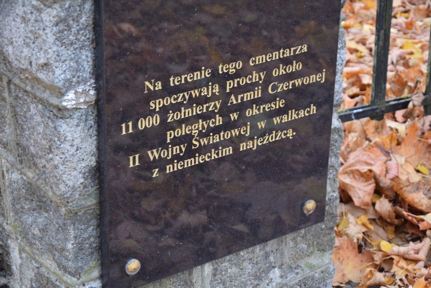 Cmentarz żołnierzy radzieckich w Ostrołęce Wojciechowicach. Zdjęcia 