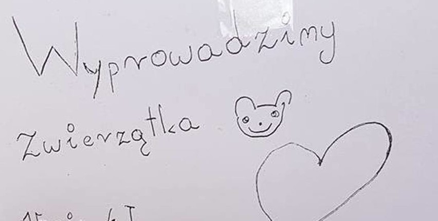 Wyprowadzimy zwierzątka - to ogłoszenie, napisane przez dzieci z Bydgoszczy, jest hitem internetu