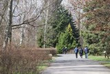 Ogród Botaniczny w Łodzi. Spacery, warsztaty w ramach Akademii Bioróżnorodności łódzkiego "botanika"  