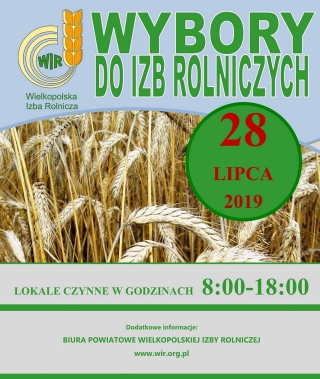 Głosowanie w wyborach do Wielkopolskich Izb Rolniczych będzie odbywało się w najbliższą niedzielę od 8 do 18