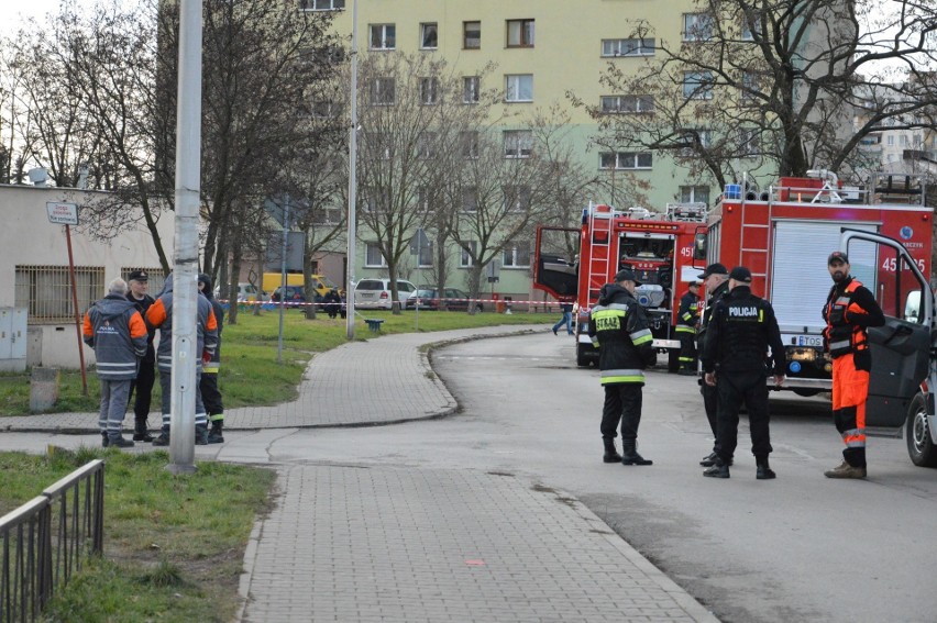 Mijające dwanaście miesięcy obfitowało w ciekawe wydarzenia...