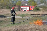 Pożar lasu w Gądkach. Z ogniem walczy osiem zastępów straży pożarnej