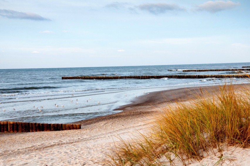 Morze pod naszą szczególną opieką - rusza kolejna odsłona ekologicznej akcji "Mój Bałtyk"