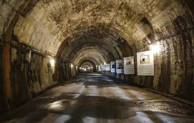 Zespół tunelu schronowego w Strzyżowie został zaprojektowany i zbudowany przez niemiecką firmę Organisation Todt w okresie wiosna 1940 r. -  lato 1941 r.